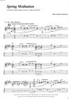 "Spring Meditation' by Kasper Søeborg<BR>Album: "Evocation"<BR>PDF sheet music / TAB for download<BR>Standard guitar tuning: E-A-D-G-B-E
