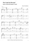 "The Castle by Øresund" by Finn Olafsson<BR>Album: "Music From North Sealand"<BR>PDF sheet music / TAB for download<BR>Guitar tuning: D-A-D-G-A-E