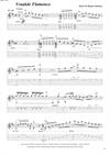 "Vraakär Flamenco' by Kasper Søeborg<BR>Album: "Levitation"<BR>PDF sheet music / TAB for download<BR>Standard tuning: E-A-D-G-B-E