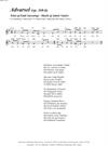 "Advarsel (op. 368-b)"<BR>Af Jakob Vejslev & Emil Aarestrup<BR>Fra melodibogen "117 Danske Sange"<BR>PDF noder til download